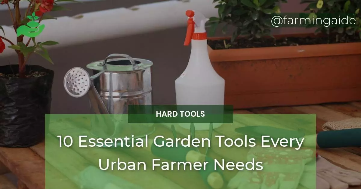 10 Essential Garden Tools Every Urban Farmer Needs