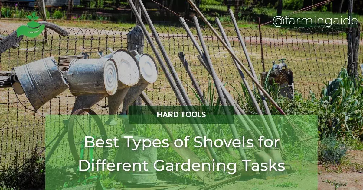 Best Types of Shovels for Different Gardening Tasks