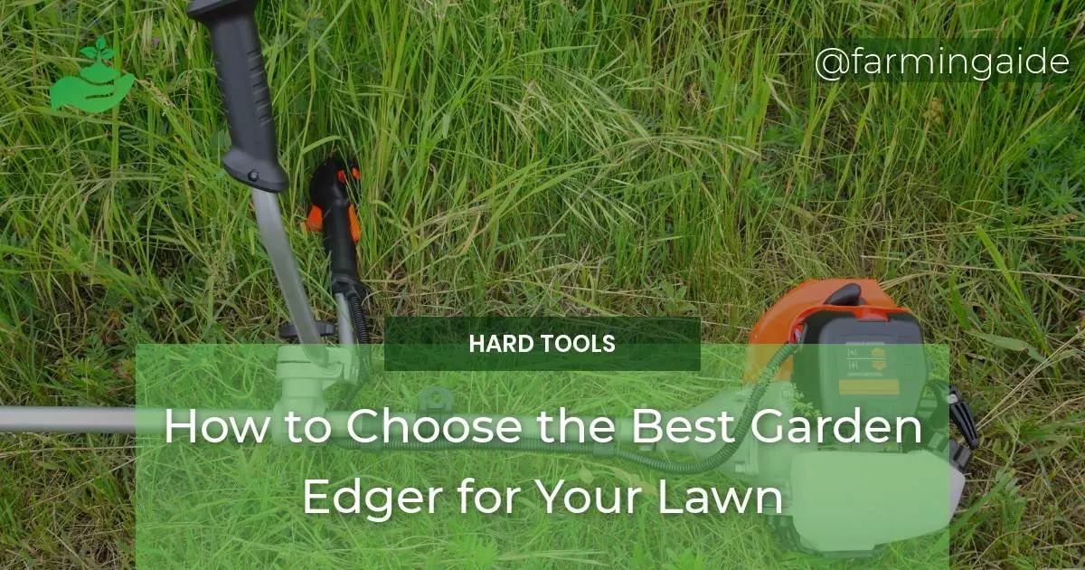How to Choose the Best Garden Edger for Your Lawn