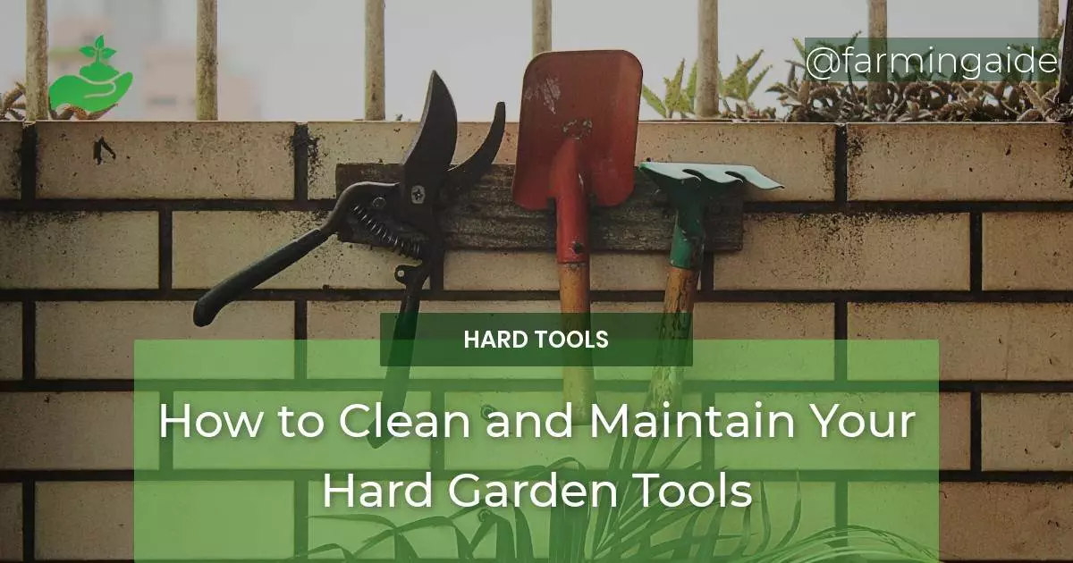 How to Clean and Maintain Your Hard Garden Tools