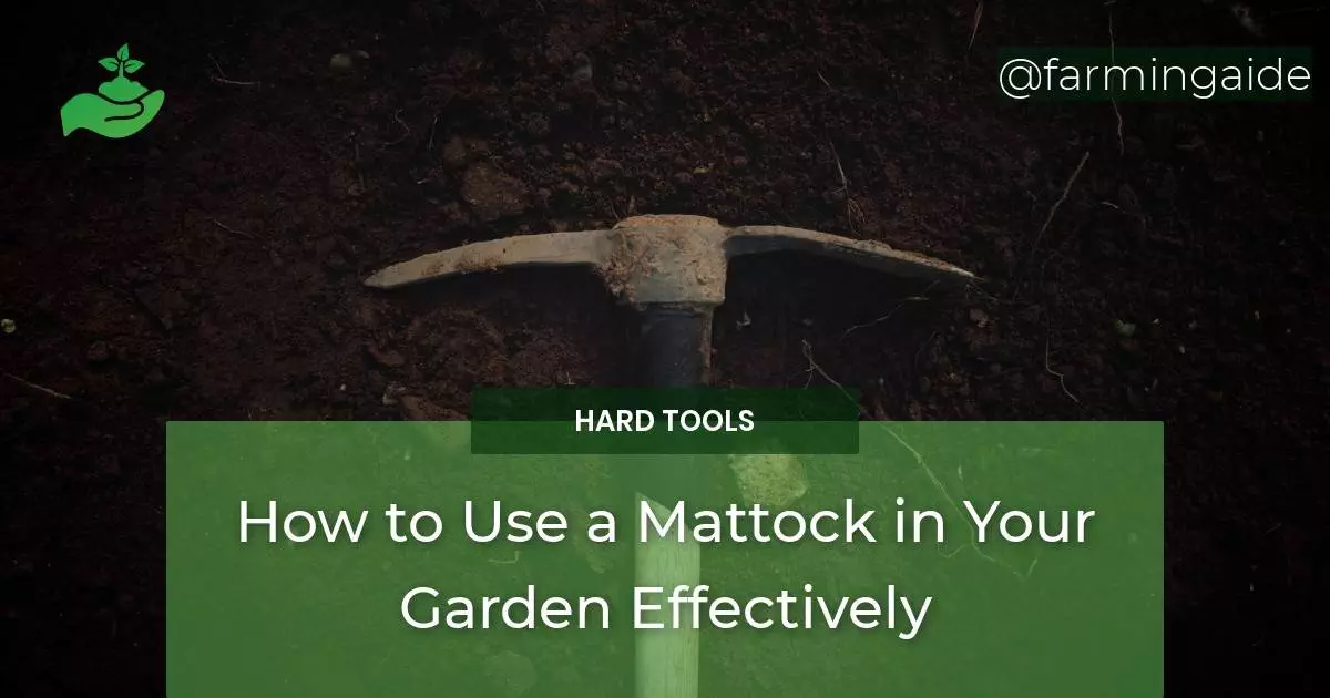 How to Use a Mattock in Your Garden Effectively