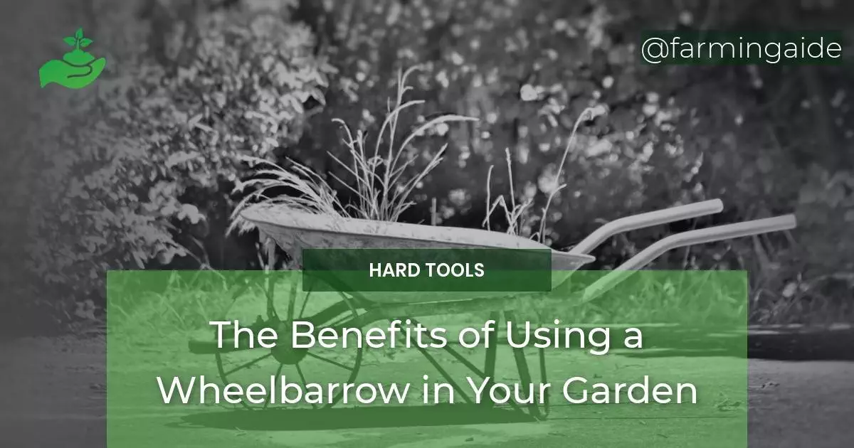 The Benefits of Using a Wheelbarrow in Your Garden