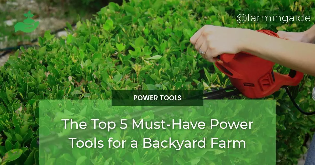 The Top 5 Must-Have Power Tools for a Backyard Farm