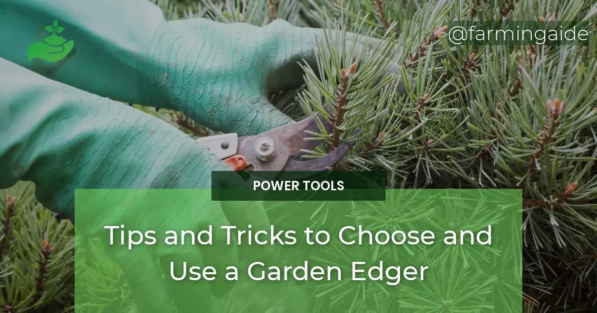 Tips and Tricks to Choose and Use a Garden Edger