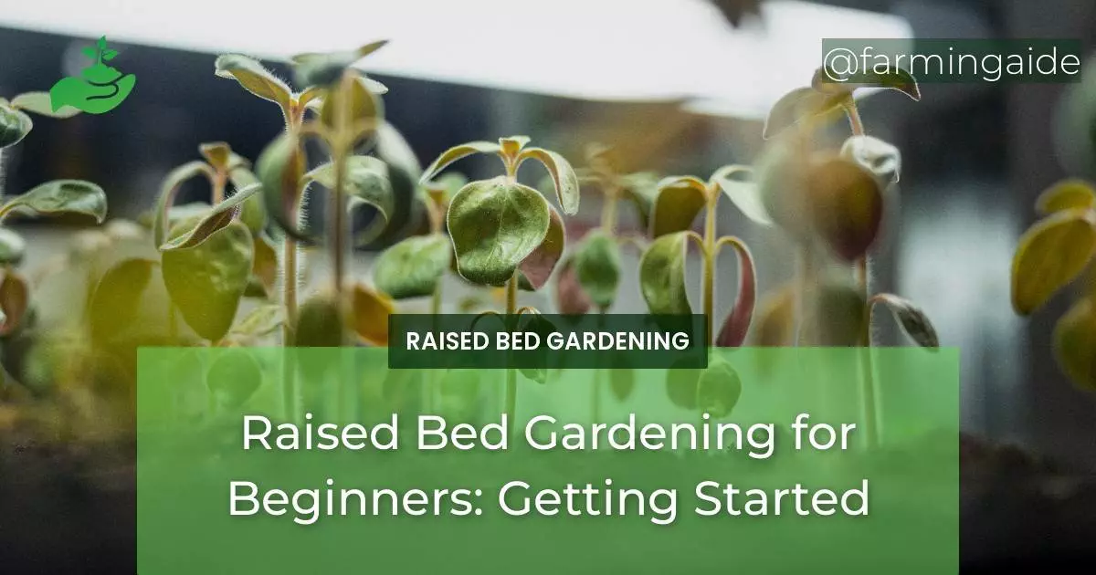 Raised Bed Gardening for Beginners: Getting Started