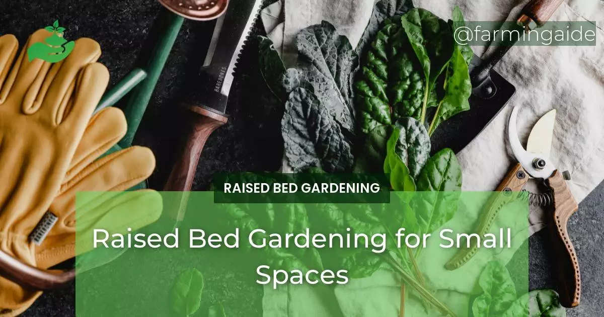 Raised Bed Gardening for Small Spaces