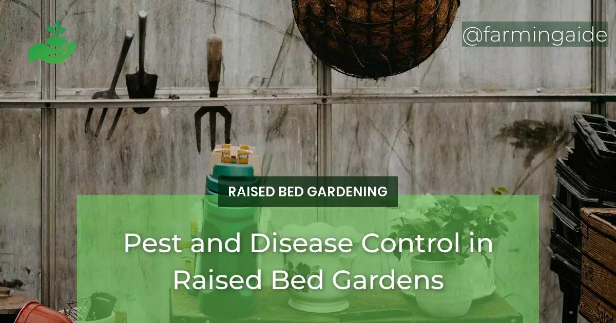 Pest and Disease Control in Raised Bed Gardens