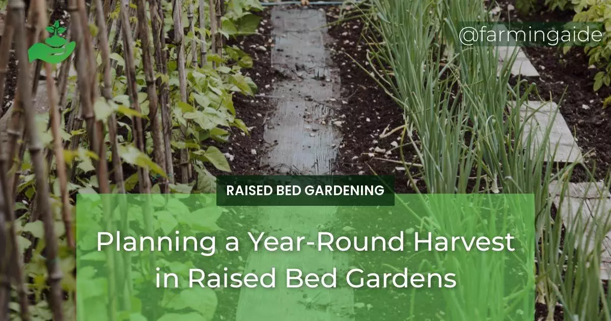 Planning a Year-Round Harvest in Raised Bed Gardens