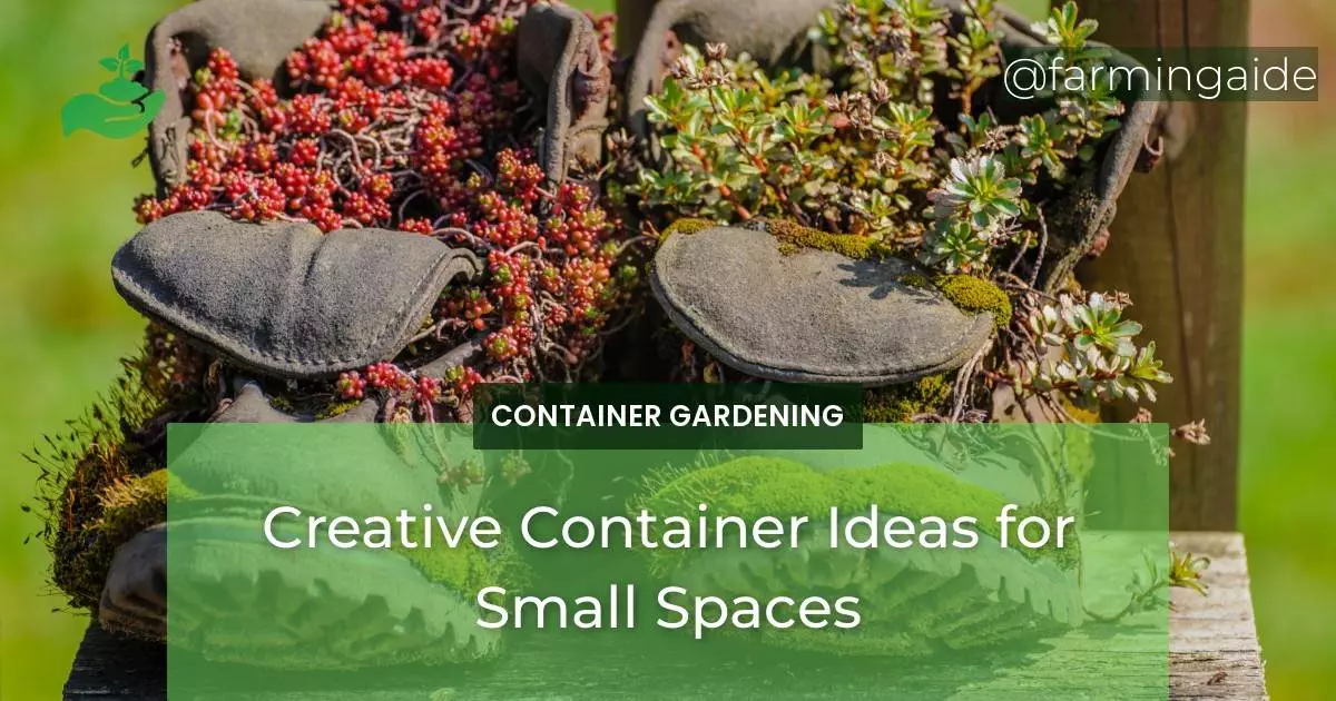 Creative Container Ideas for Small Spaces