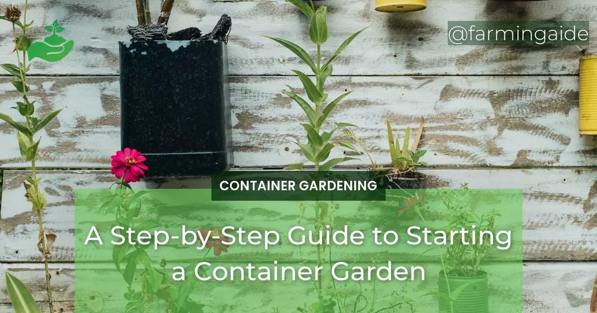 A Step-by-Step Guide to Starting a Container Garden