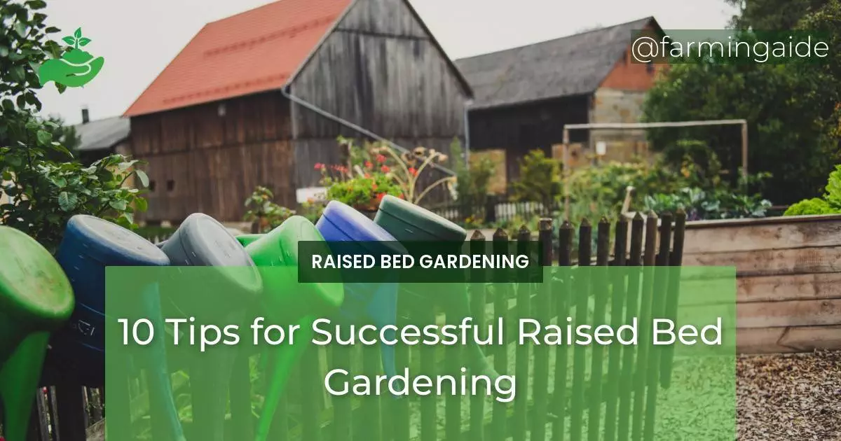 10 Tips for Successful Raised Bed Gardening