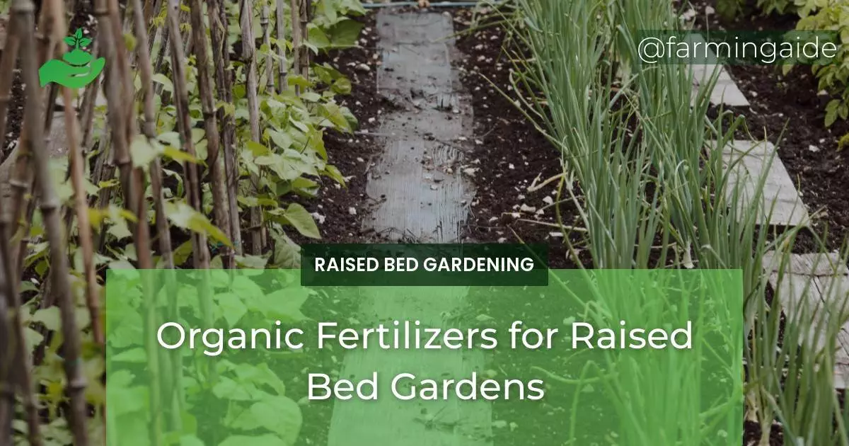 Organic Fertilizers for Raised Bed Gardens