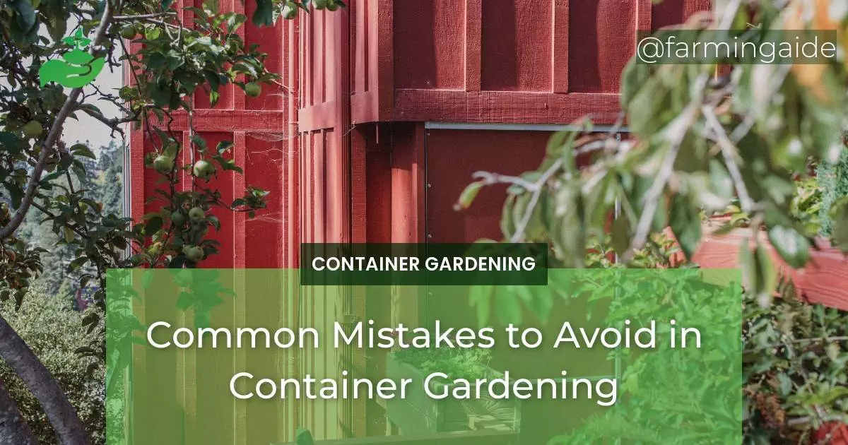 Common Mistakes to Avoid in Container Gardening