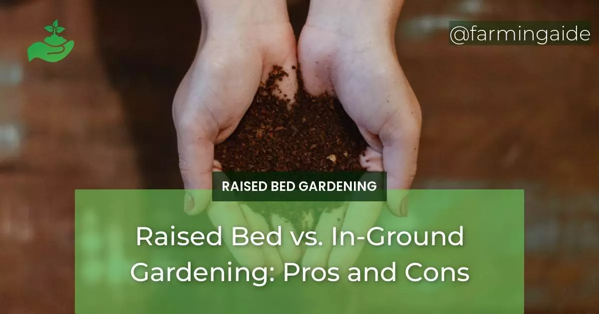 Raised Bed vs. In-Ground Gardening: Pros and Cons