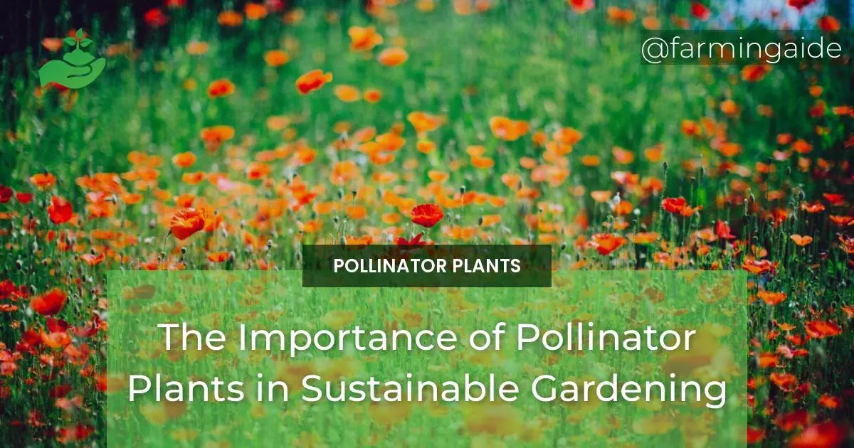 The Importance of Pollinator Plants in Sustainable Gardening