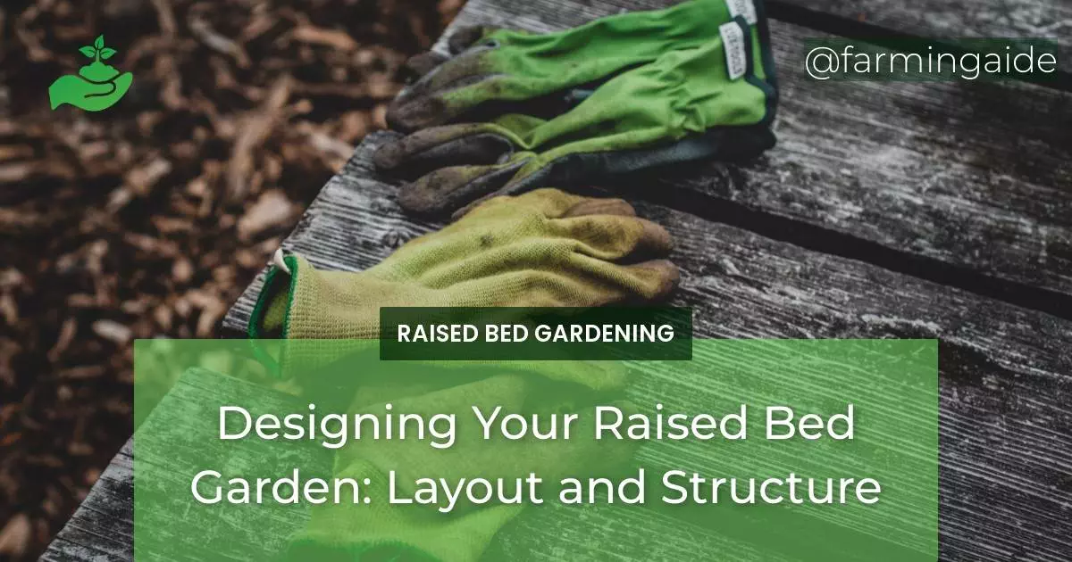 Designing Your Raised Bed Garden: Layout and Structure