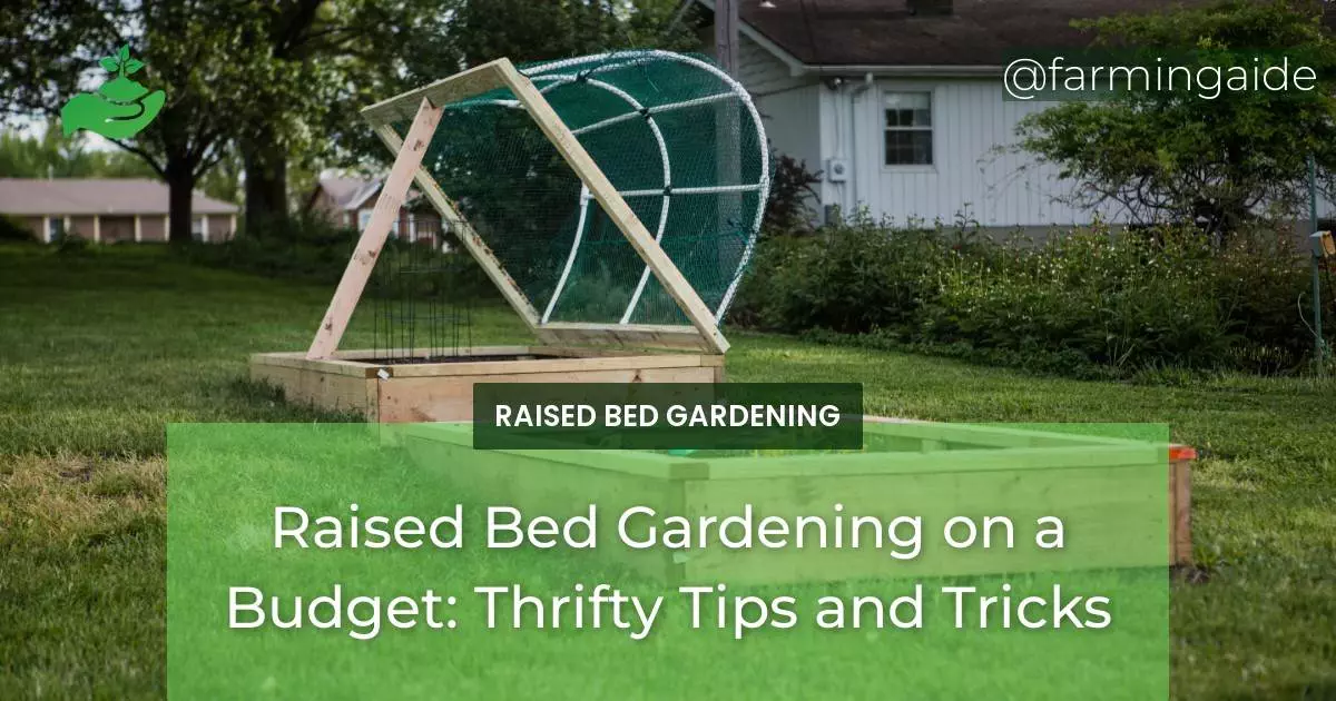Raised Bed Gardening on a Budget: Thrifty Tips and Tricks