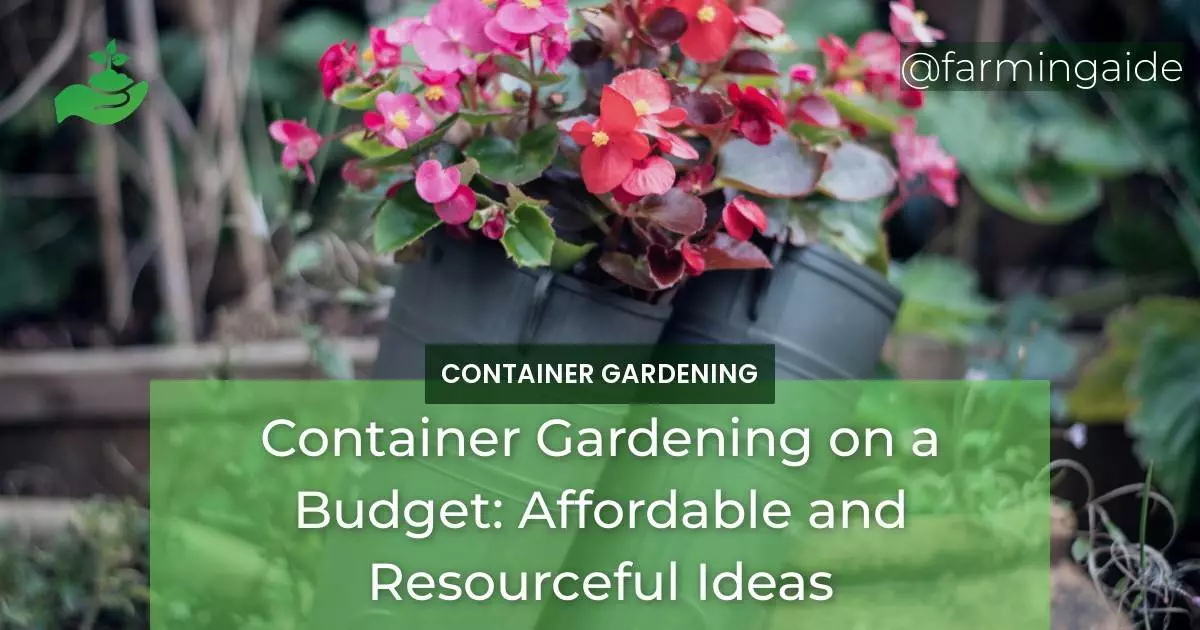 Container Gardening on a Budget: Affordable and Resourceful Ideas