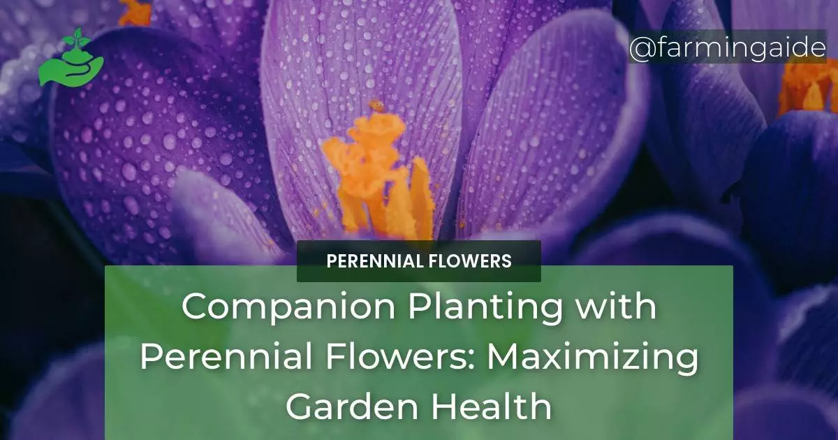 Companion Planting with Perennial Flowers: Maximizing Garden Health