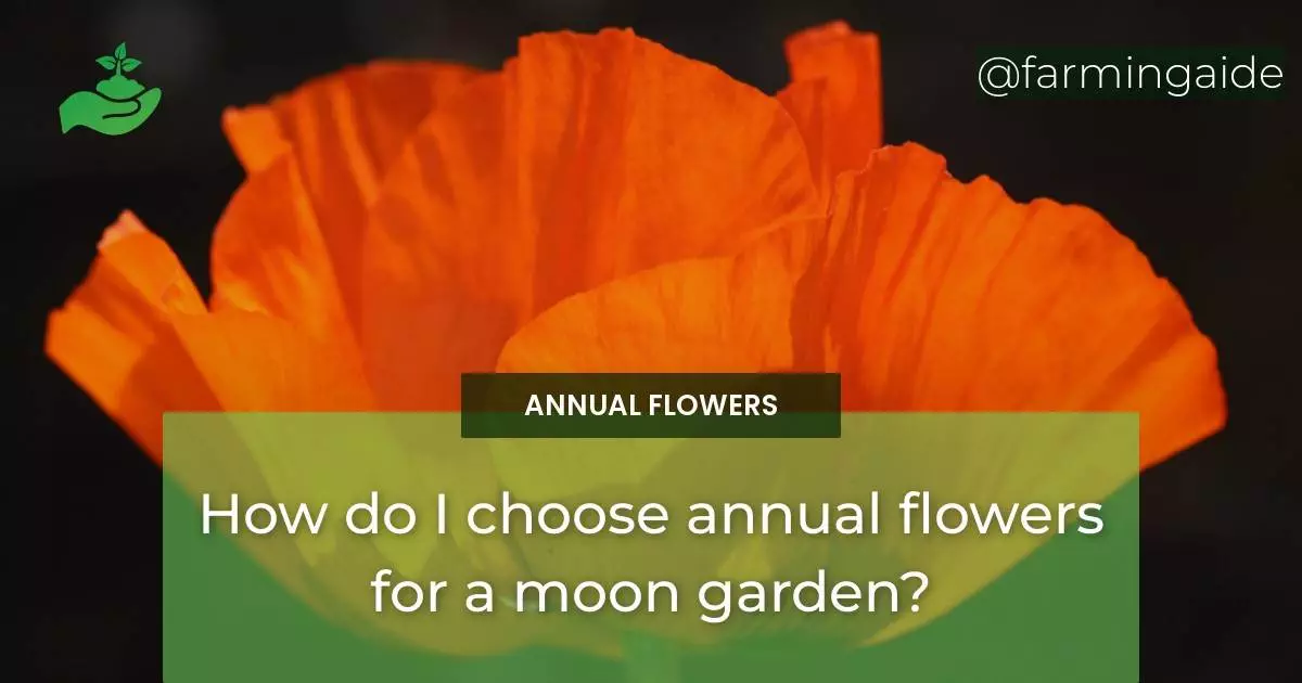 How do I choose annual flowers for a moon garden?