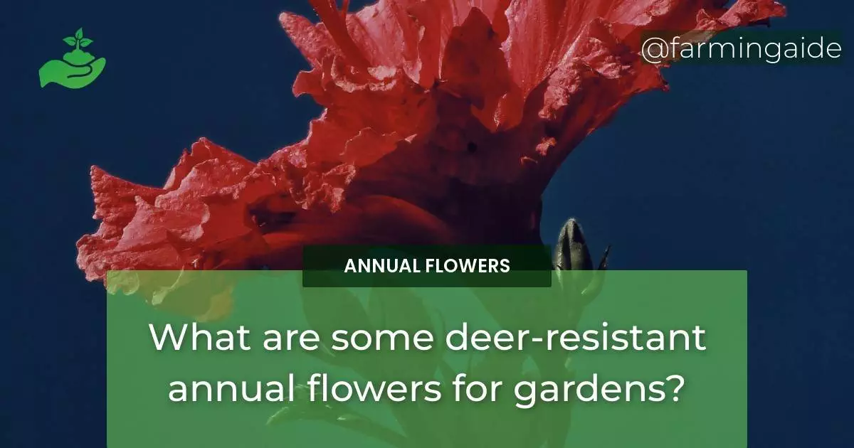 What are some deer-resistant annual flowers for gardens?