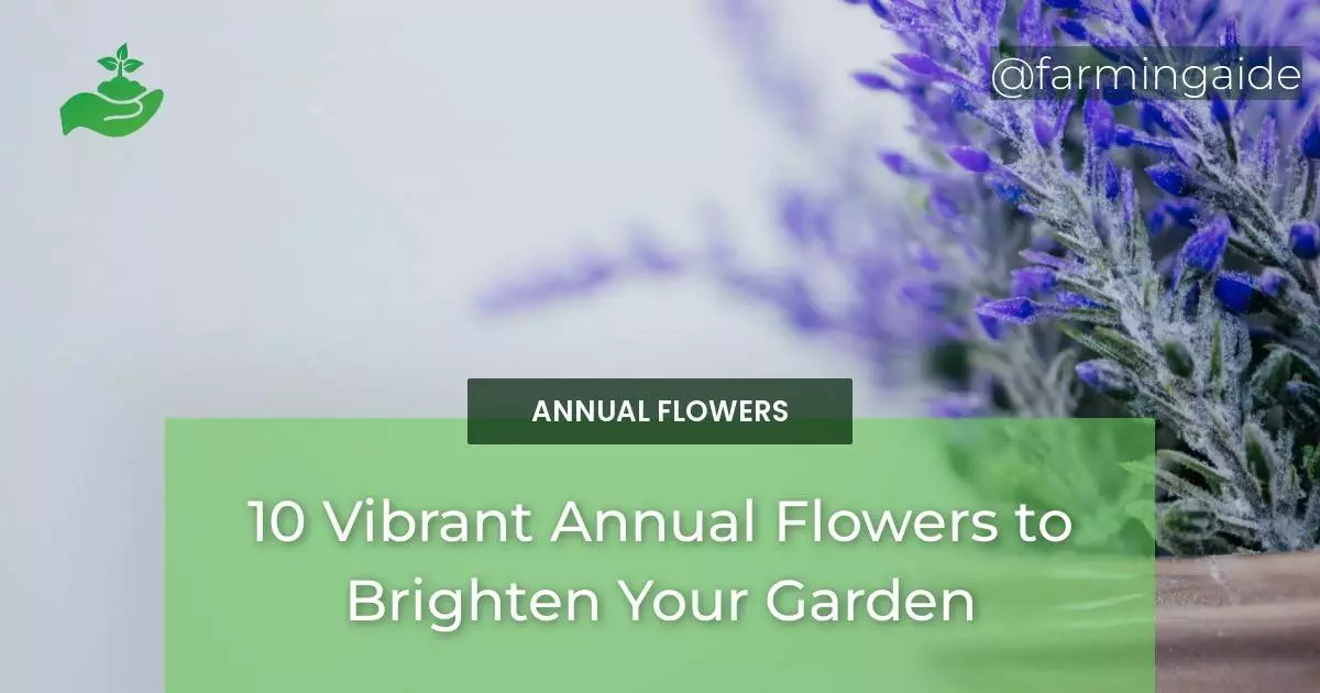 10 Vibrant Annual Flowers to Brighten Your Garden