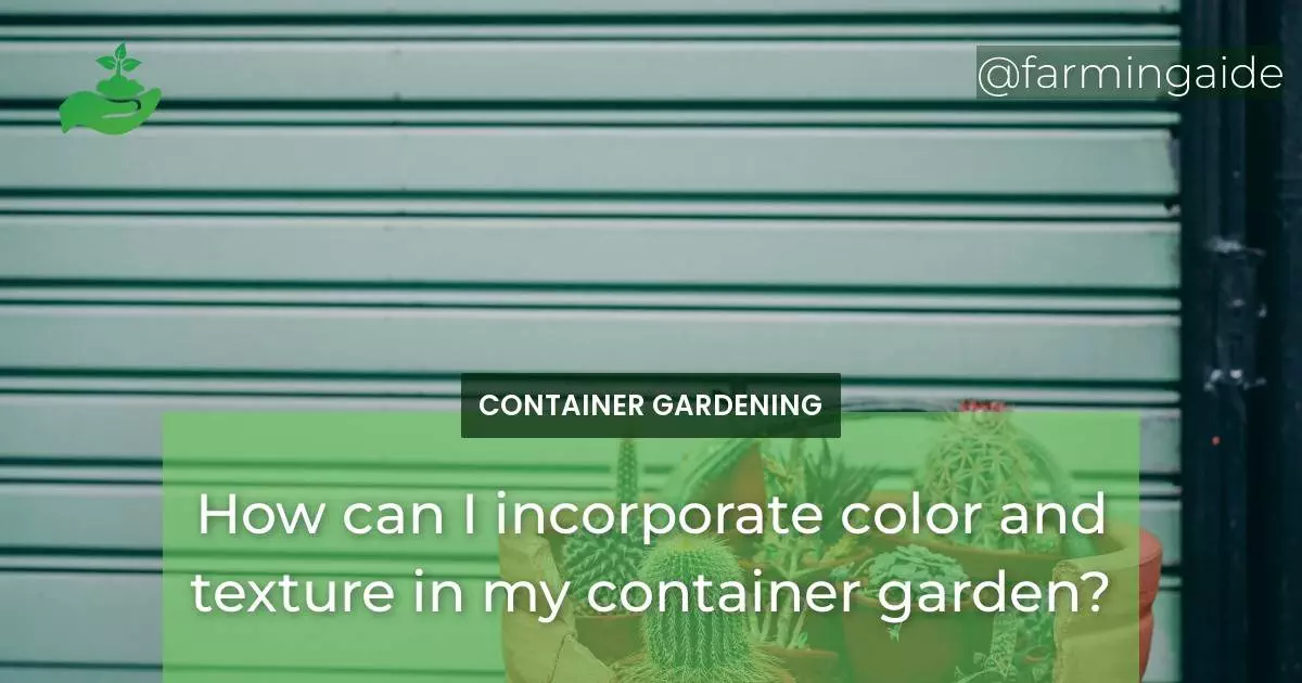 How can I incorporate color and texture in my container garden?