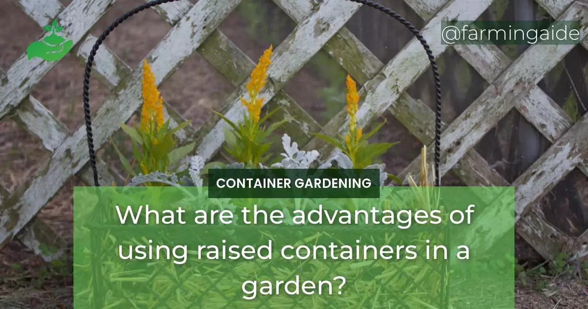What are the advantages of using raised containers in a garden?