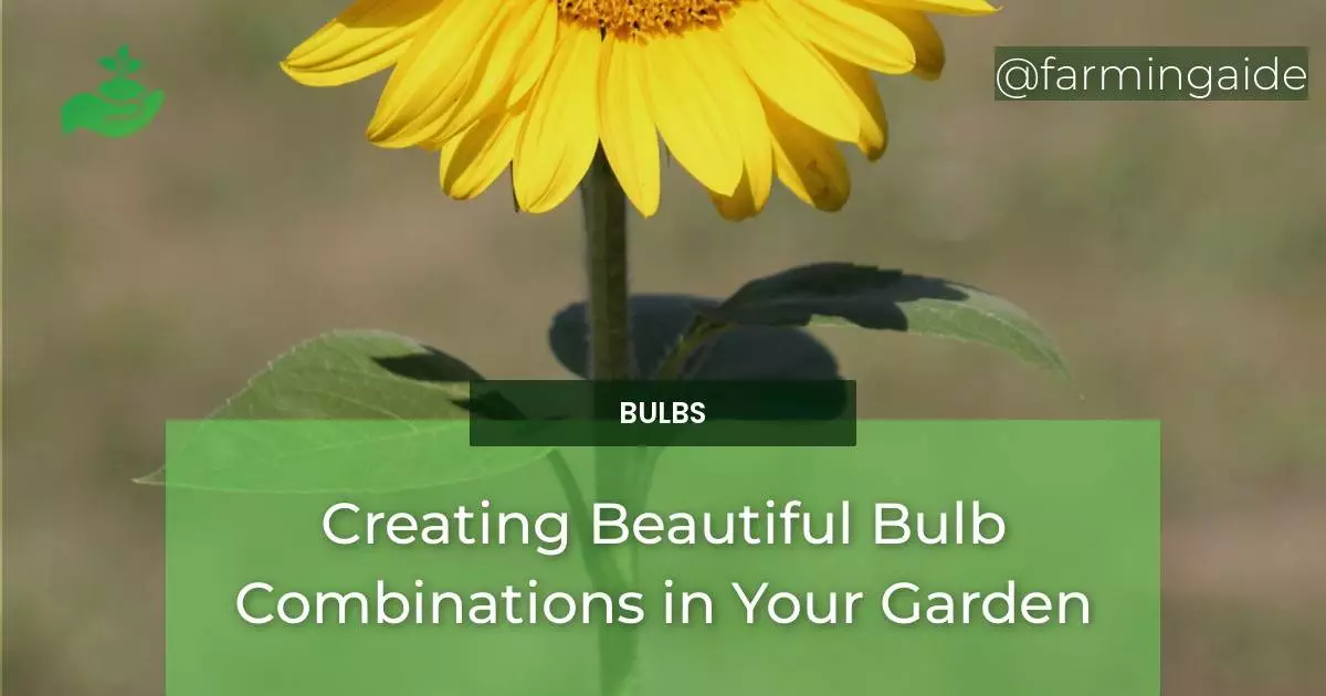 Creating Beautiful Bulb Combinations in Your Garden
