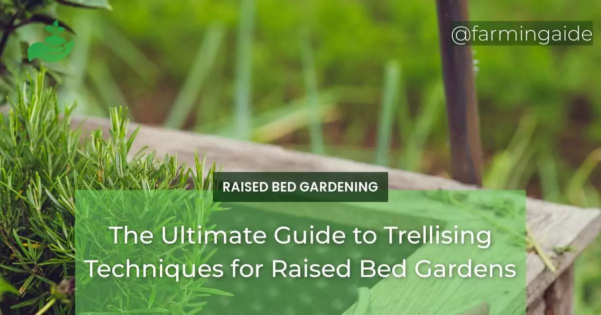 The Ultimate Guide to Trellising Techniques for Raised Bed Gardens