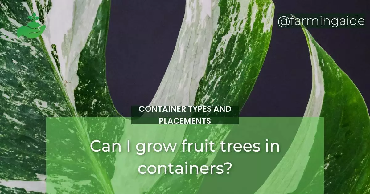 Can I grow fruit trees in containers?