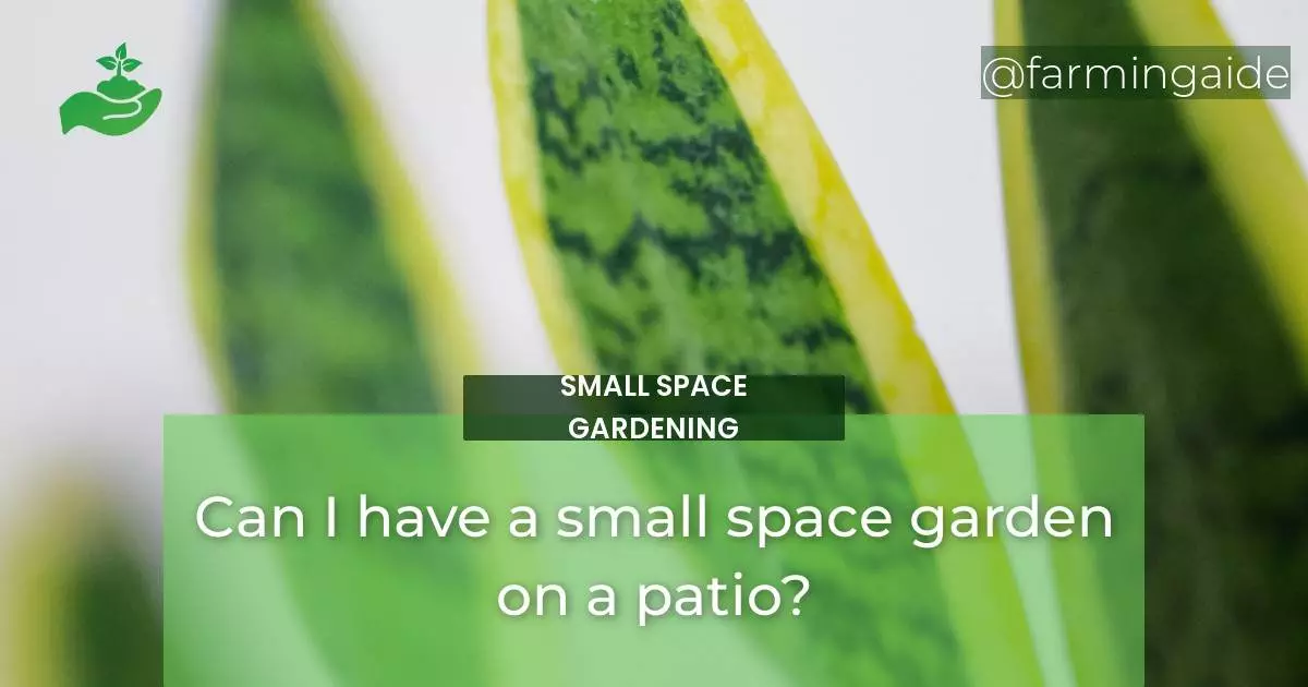 Can I have a small space garden on a patio?