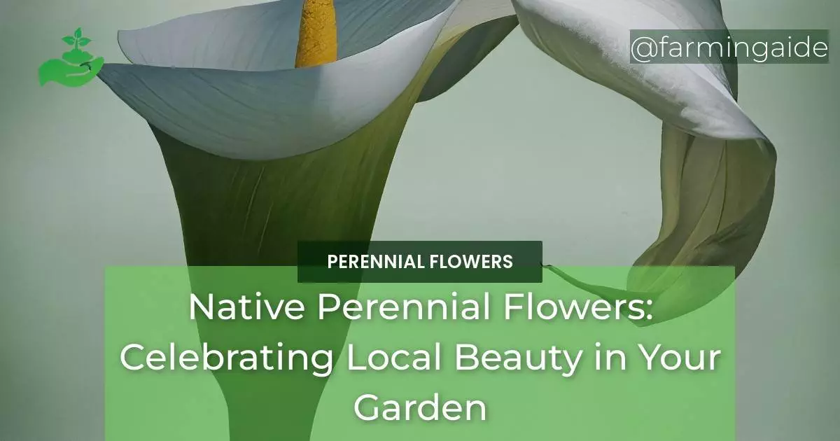 Native Perennial Flowers: Celebrating Local Beauty in Your Garden