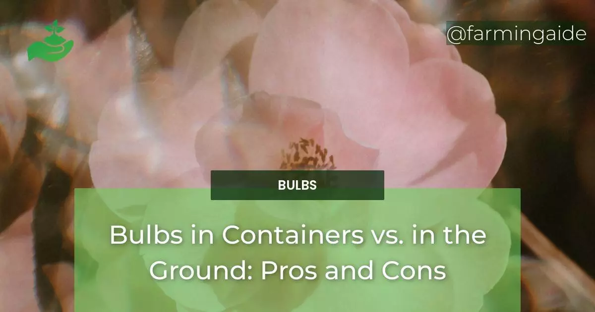 Bulbs in Containers vs. in the Ground: Pros and Cons