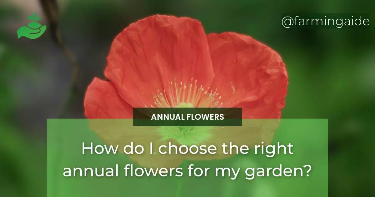 How do I choose the right annual flowers for my garden?