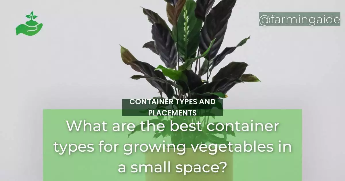 What are the best container types for growing vegetables in a small space?