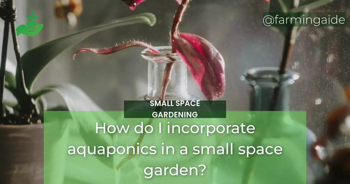 How do I incorporate aquaponics in a small space garden?