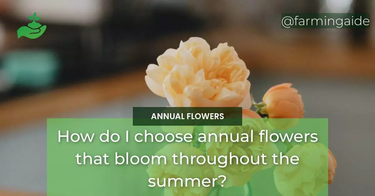 How do I choose annual flowers that bloom throughout the summer?