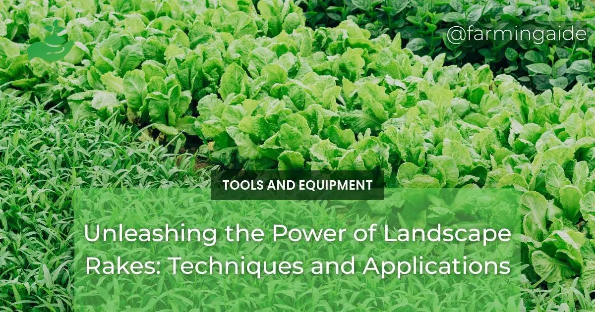 Unleashing the Power of Landscape Rakes: Techniques and Applications