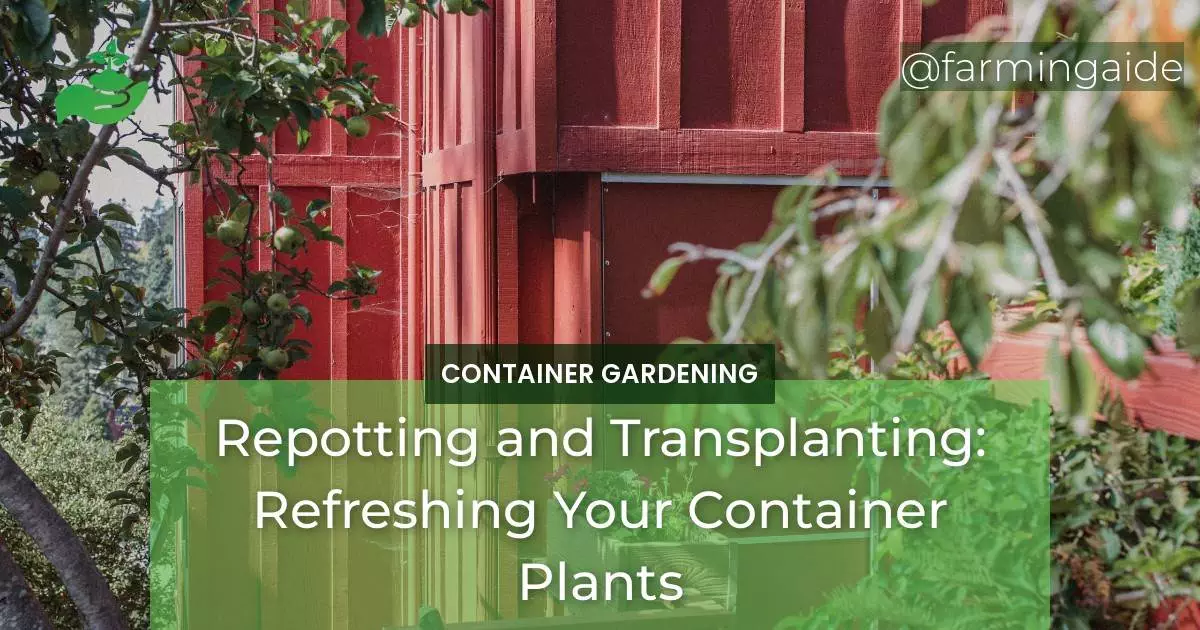 Repotting and Transplanting: Refreshing Your Container Plants