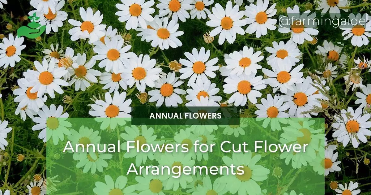 Annual Flowers for Cut Flower Arrangements