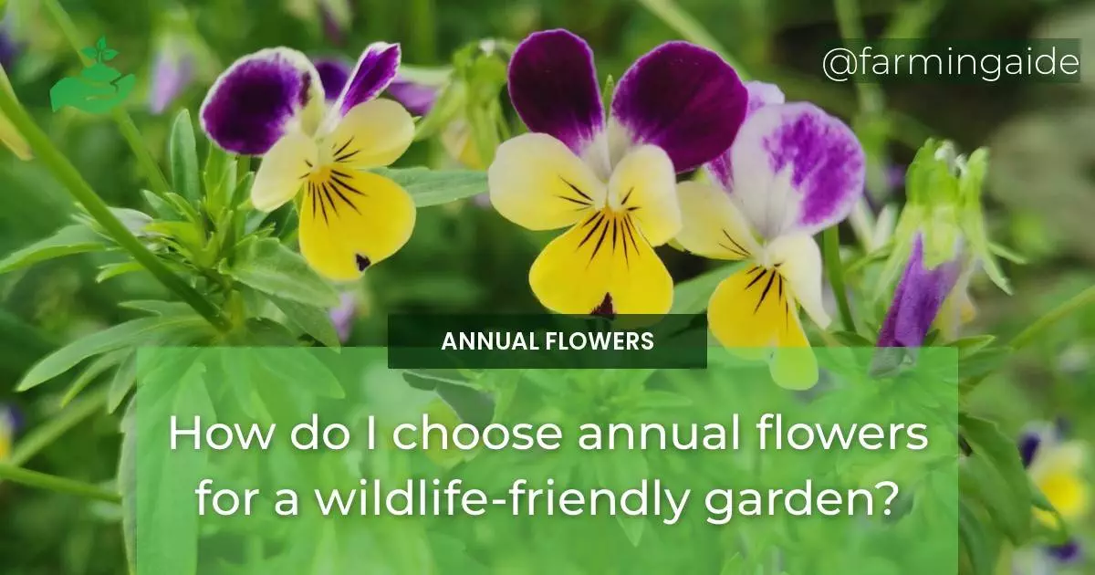 How do I choose annual flowers for a wildlife-friendly garden?