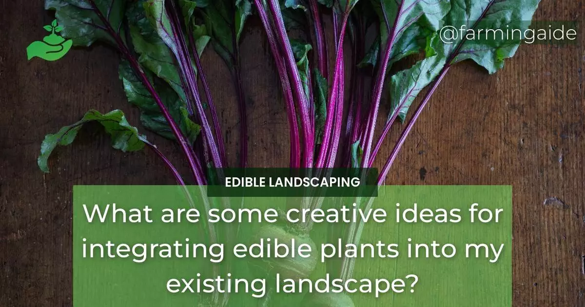 What are some creative ideas for integrating edible plants into my existing landscape?
