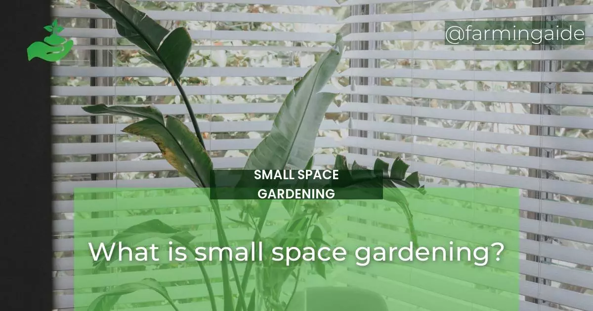 What is small space gardening?