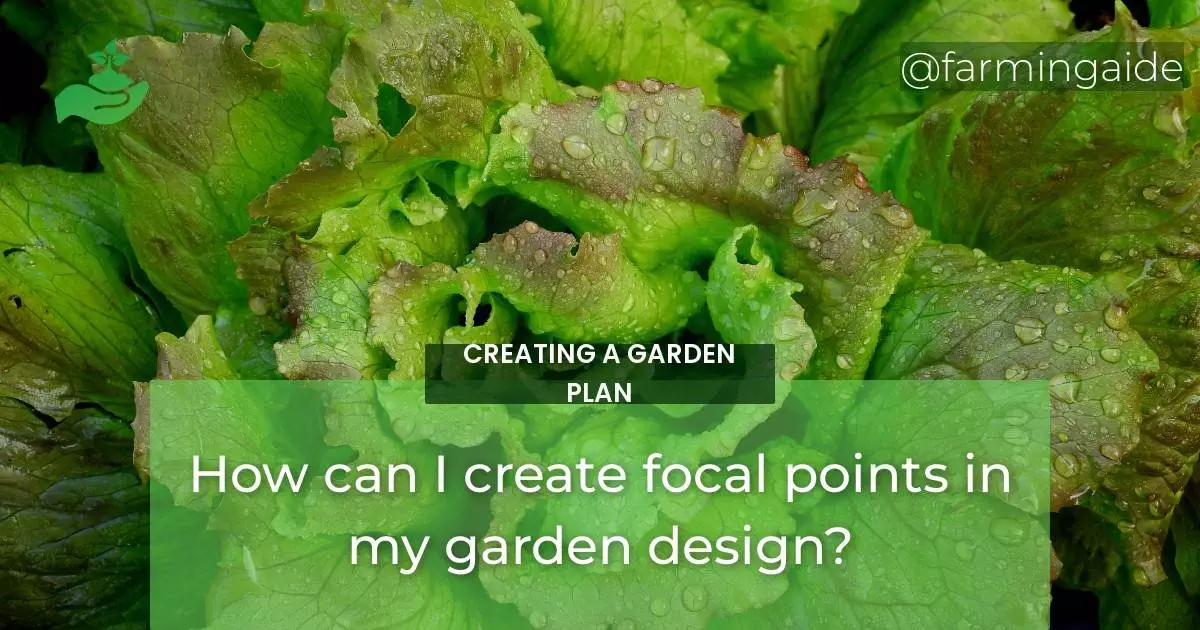 How can I create focal points in my garden design?