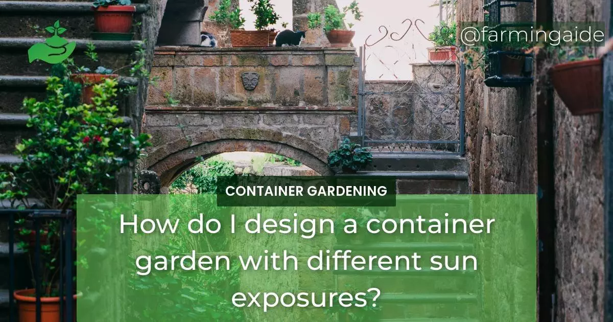 How do I design a container garden with different sun exposures?