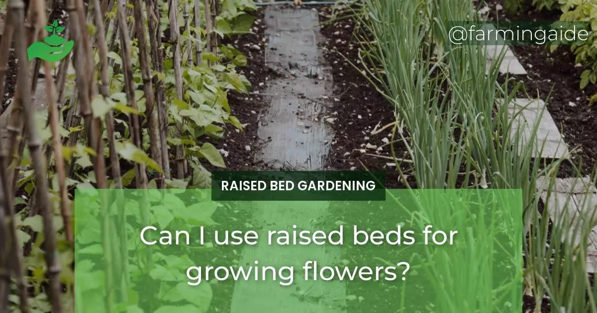 Can I use raised beds for growing flowers?