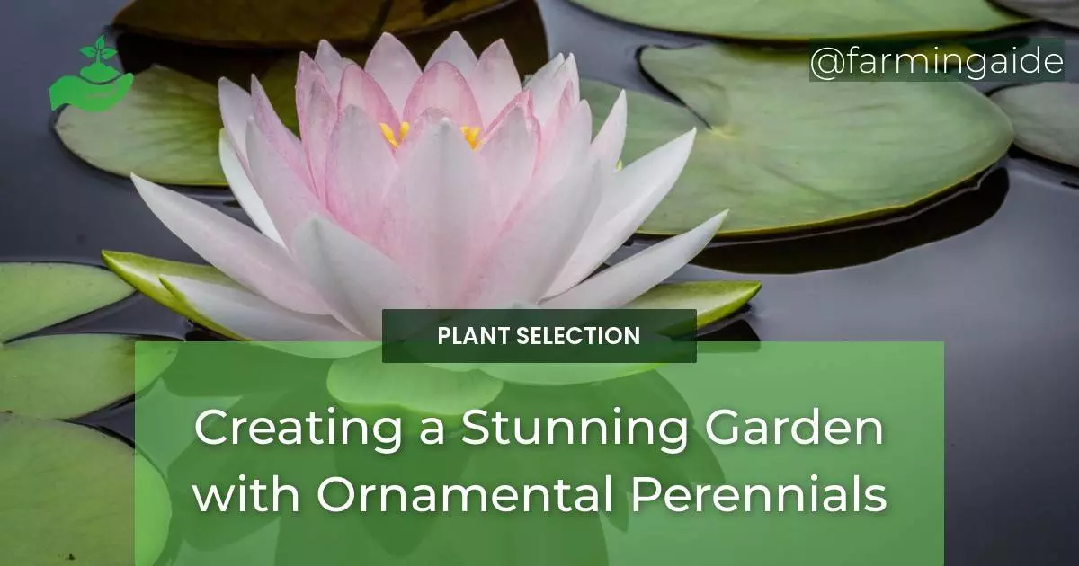 Creating a Stunning Garden with Ornamental Perennials