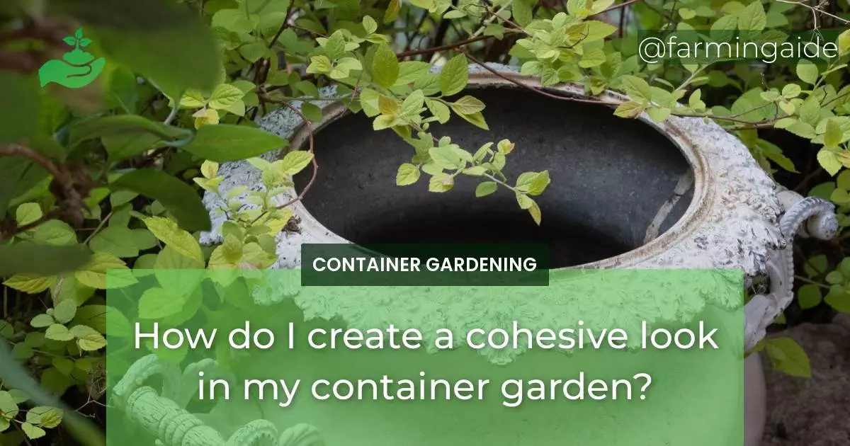 How do I create a cohesive look in my container garden?