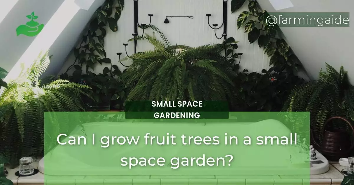 Can I grow fruit trees in a small space garden?